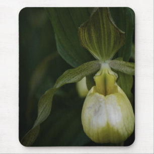 Alfombrilla De Ratón Zapato amarillo 2 Mousepad