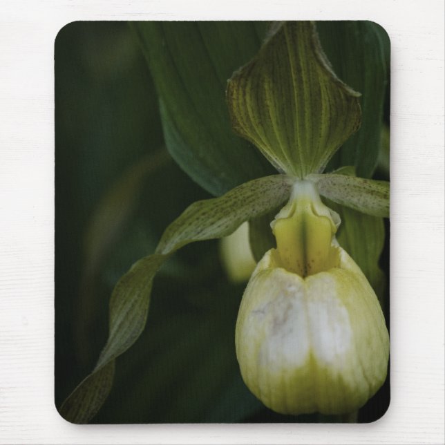 Alfombrilla De Ratón Zapato amarillo 2 Mousepad (Frente)