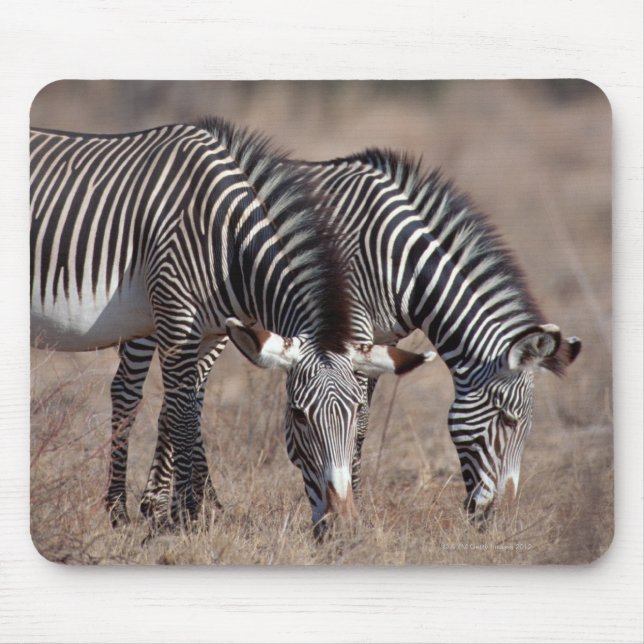 Alfombrilla De Ratón Zebra (Frente)