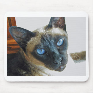 Alfombrilla De Ratón ZenaLrg_7_20_05_edited-1