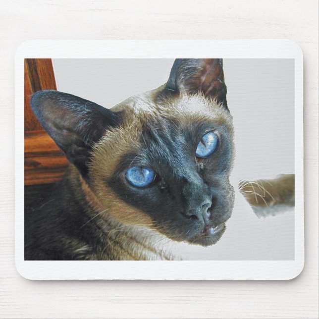 Alfombrilla De Ratón ZenaLrg_7_20_05_edited-1 (Frente)