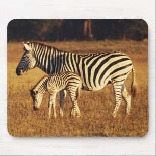 Alfombrilla De Ratón Zimbabue, Parque Nacional Hwange, Linkwasha