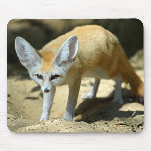 Alfombrilla De Ratón Zorro de Fennec (Frente)