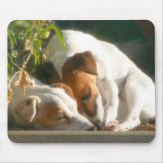 Alfombrilla De Ratón Zzzz de cogida