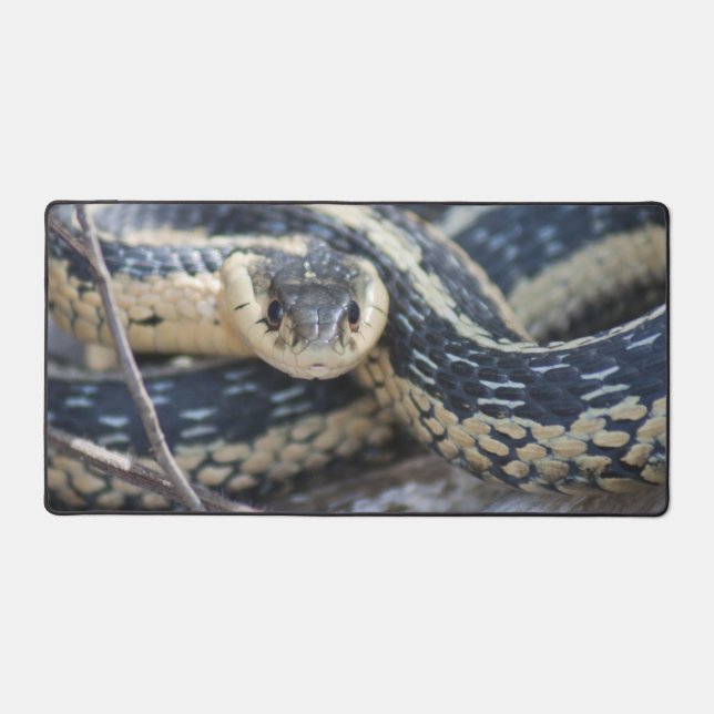 Alfombrilla de serpiente  (Anverso)