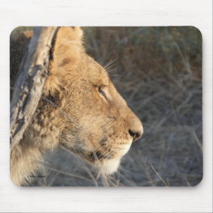 ALFOMBRILLA PARA RATÓN CON RETRATO DE LEÓN MACHO