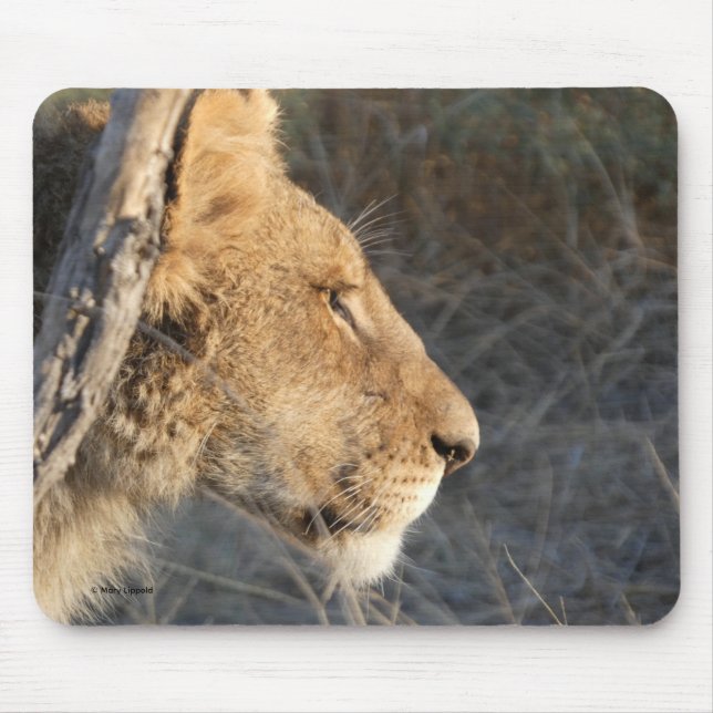 ALFOMBRILLA PARA RATÓN CON RETRATO DE LEÓN MACHO (Frente)