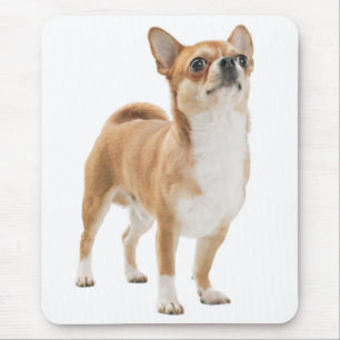 Alfombrilla para ratón de cachorro Chihuahua adora