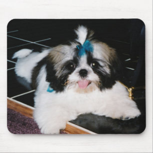 Alfombrilla para ratón de cachorro Shih-Tzu
