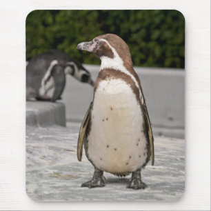 Alfombrilla para ratón de Pingüino Magallánico Mar