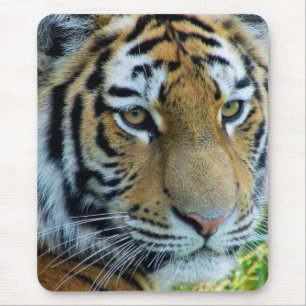 Alfombrilla para ratón de Tigre de Siberia, Tigre