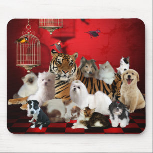 Alfombrillas Animales Tigres Gatos Perros 3