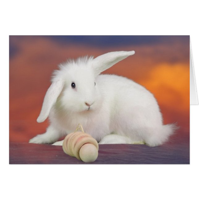 Alfredo (Anverso (Horizontal))