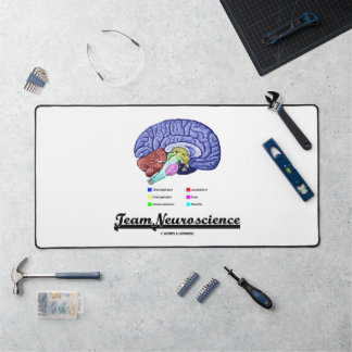 Alfrombrillas De Escritorio Actitud de Anatomía Cerebral de Neurociencia de Eq