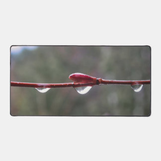 Alfrombrillas De Escritorio After the Rain