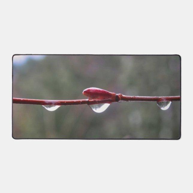 Alfrombrillas De Escritorio After the Rain (Anverso)