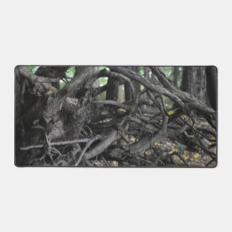 Alfrombrillas De Escritorio Amor a un árbol caído