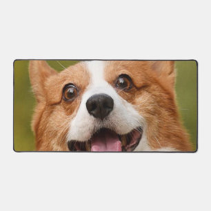 Alfrombrillas De Escritorio Añadir foto de perro personalizada