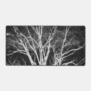 Alfrombrillas De Escritorio Árbol De Pájaros Blancos En Invierno Foto En Blanc