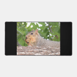Alfrombrillas De Escritorio Ardilla