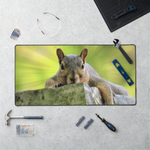 Alfrombrillas De Escritorio ardilla relajada