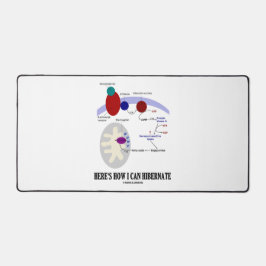 Alfrombrillas De Escritorio Así es como puedo hibernar la termogénesis