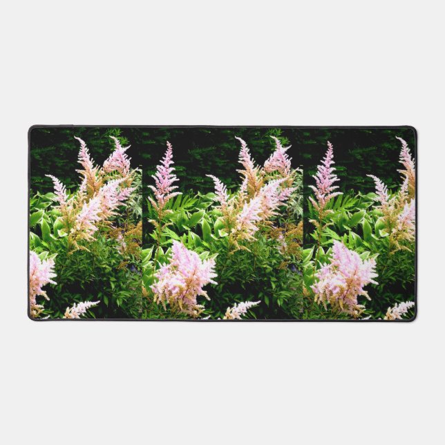 Alfrombrillas De Escritorio Astilbe (Anverso)