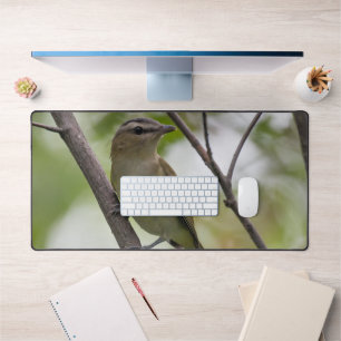 Alfrombrillas De Escritorio Avián canadiense: Ave verde, Vireo teñido de rojo