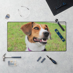 Alfrombrillas De Escritorio Beagle