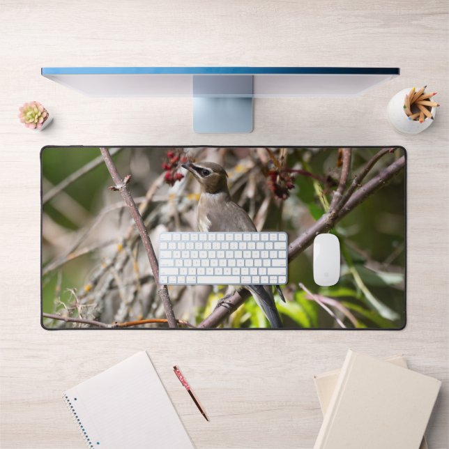 Alfrombrillas De Escritorio Bohemia vagando, descansando en una rama (Oficina 1)