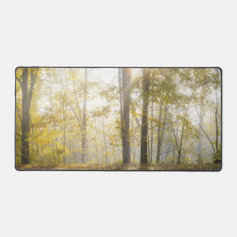 Alfrombrillas De Escritorio Bosque iluminado por el sol, foto moderna de la na