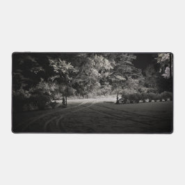 Alfrombrillas De Escritorio Bosque nevado por la noche