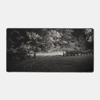 Alfrombrillas De Escritorio Bosque nevado por la noche