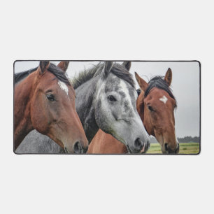 Alfrombrillas De Escritorio caballos en fila