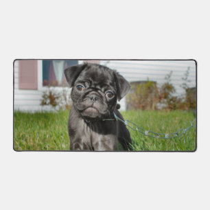Alfrombrillas De Escritorio Cachorro negro