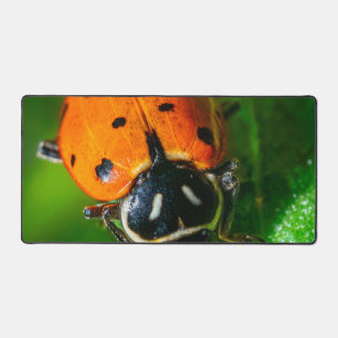 Alfrombrillas De Escritorio Cafetera de escritorio Ladybug Arte botánico col