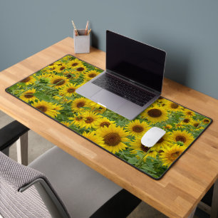 Alfrombrillas De Escritorio Campo de girasol amarillo