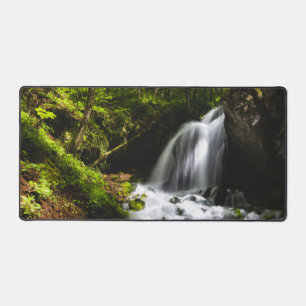 Alfrombrillas De Escritorio Cascada mágica en un bosque verde encantador