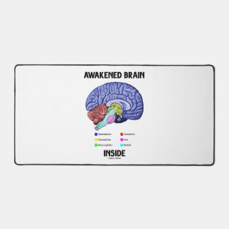 Alfrombrillas De Escritorio Cerebro Despertado Dentro Anatomía del Cerebro Hum