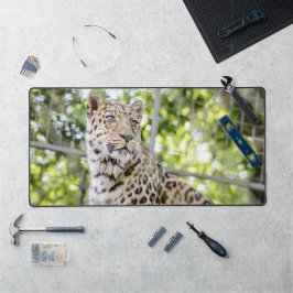 Alfrombrillas De Escritorio Cierre de la foto de Leopard Face