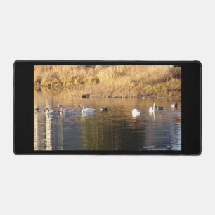 Alfrombrillas De Escritorio Cinco Cisnes Blancos y Papeles