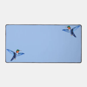 Alfrombrillas De Escritorio Colibríes sobre azul claro