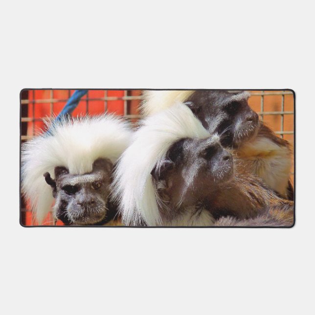 ALFROMBRILLAS DE ESCRITORIO COTTON-TOP TAMARIN MONKEYS (Anverso)