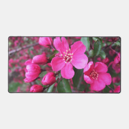 Alfrombrillas De Escritorio Crabapple de floración rosa