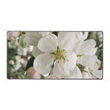 Crabapple floreciente