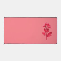 Crisantemo Rosa