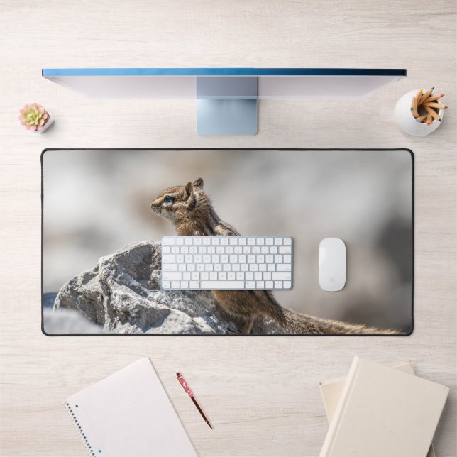Alfrombrillas De Escritorio Curious Chipmunk in Nature (Oficina 1)