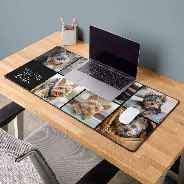 Alfrombrillas De Escritorio Cuteness Overboard Script Pet Photo (Subido por el creador)