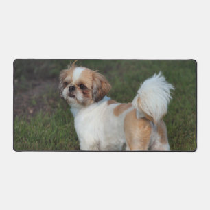 Alfrombrillas De Escritorio Cutest shih tzu