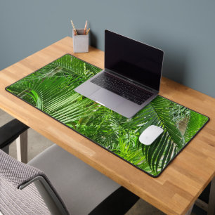 Alfrombrillas De Escritorio 🌴 de selva PalmTrees